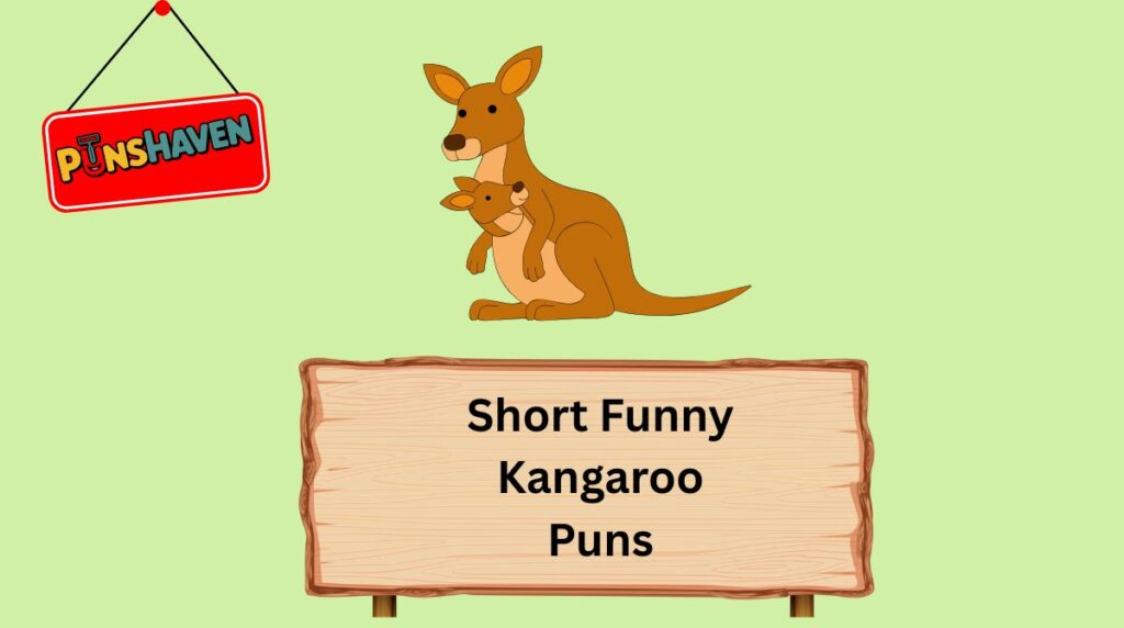 Short Funny Kangaroo Puns