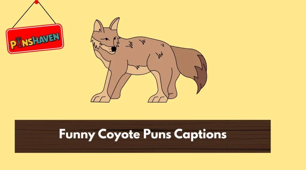 Funny Coyote Puns Captions
