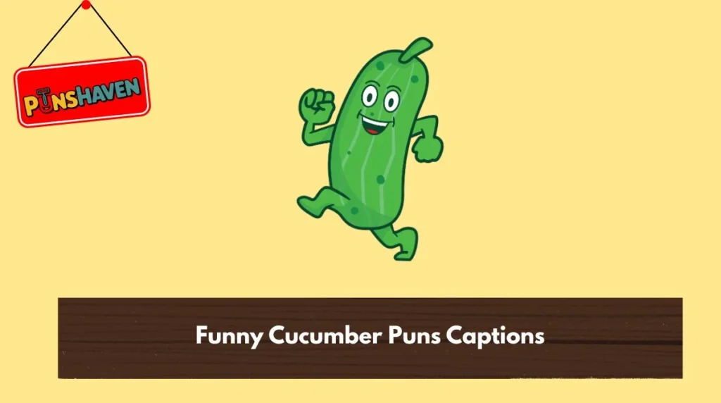 Funny Cucumber Puns Captions