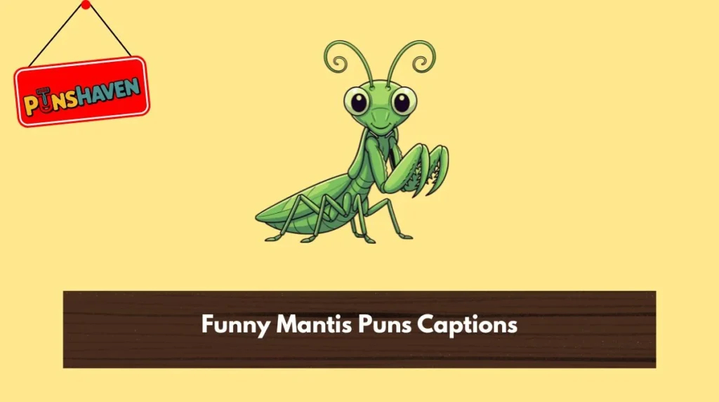 Funny Mantis Puns Captions