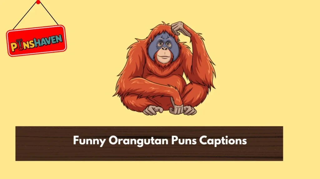 Funny Orangutan Puns Captions