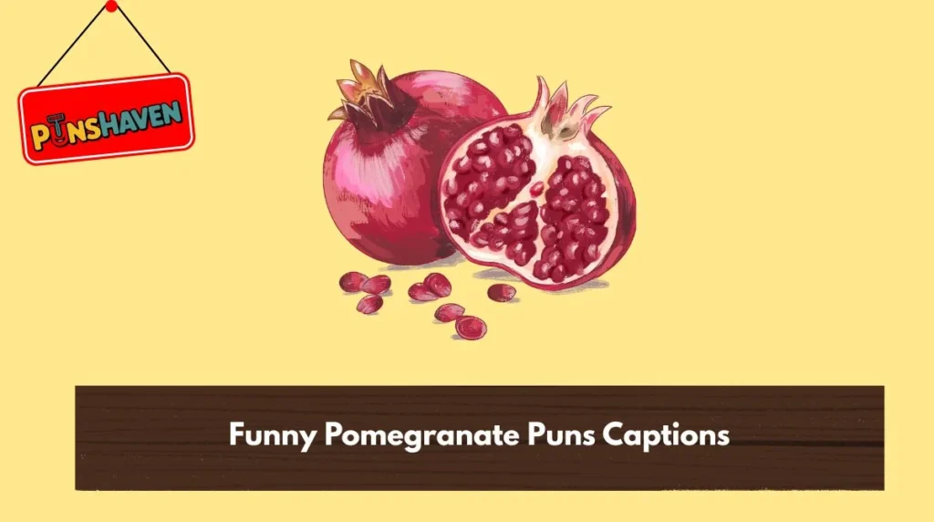 Funny Pomegranate Puns Captions