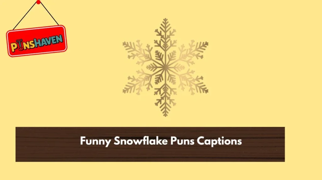 Funny Snowflake Puns Captions