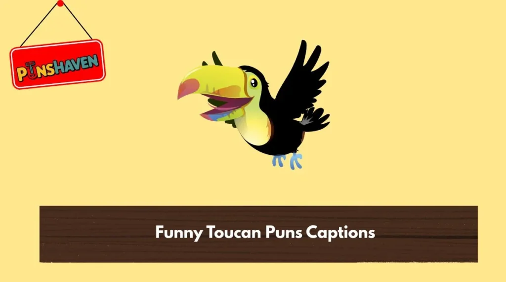 Funny Toucan Puns Captions