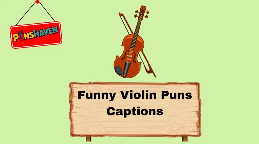 Funny Violin Puns Captions