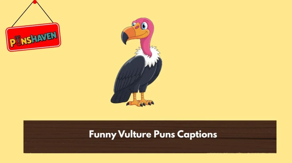 Funny Vulture Puns Captions