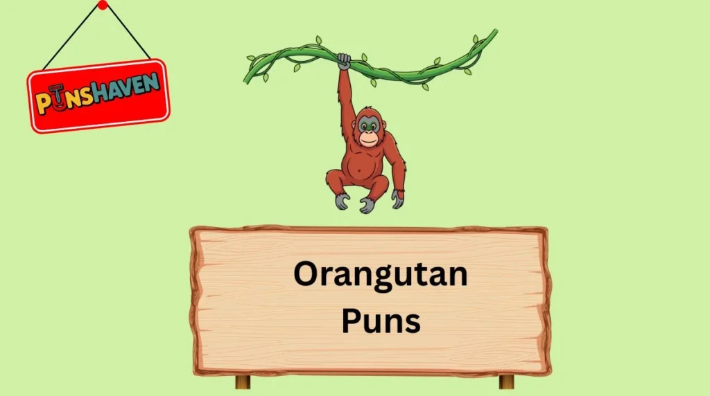 Orangutan Puns