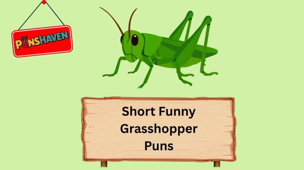 Short Funny Grasshopper Puns