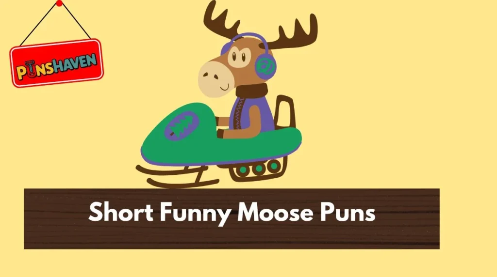 Short Funny Moose Puns