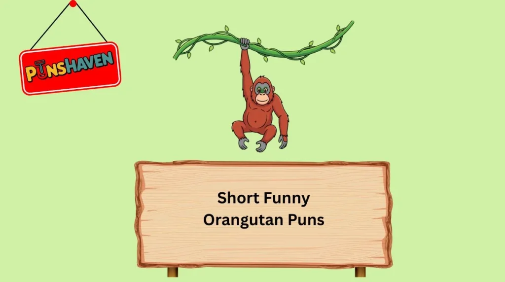 Short Funny Orangutan Puns