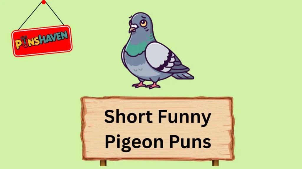 Short Funny Pigeon Puns