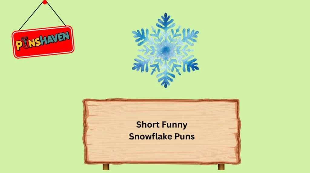Short Funny Snowflake Puns