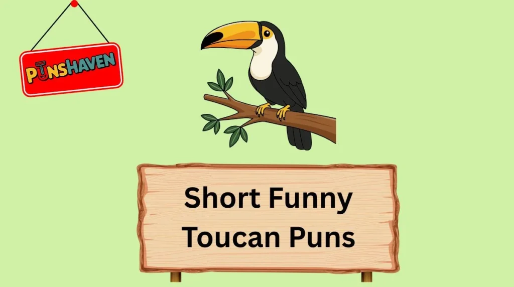 Short Funny Toucan Puns