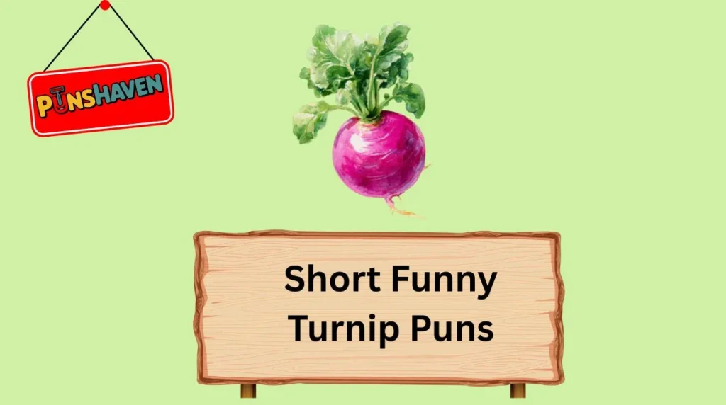 Short Funny Turnip Puns