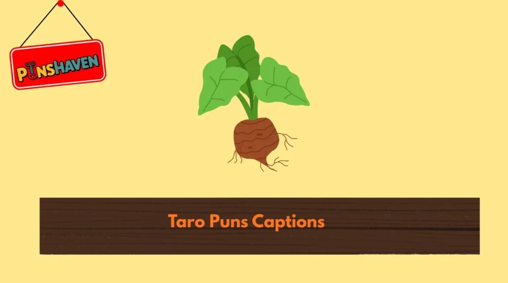 Taro Puns Captions