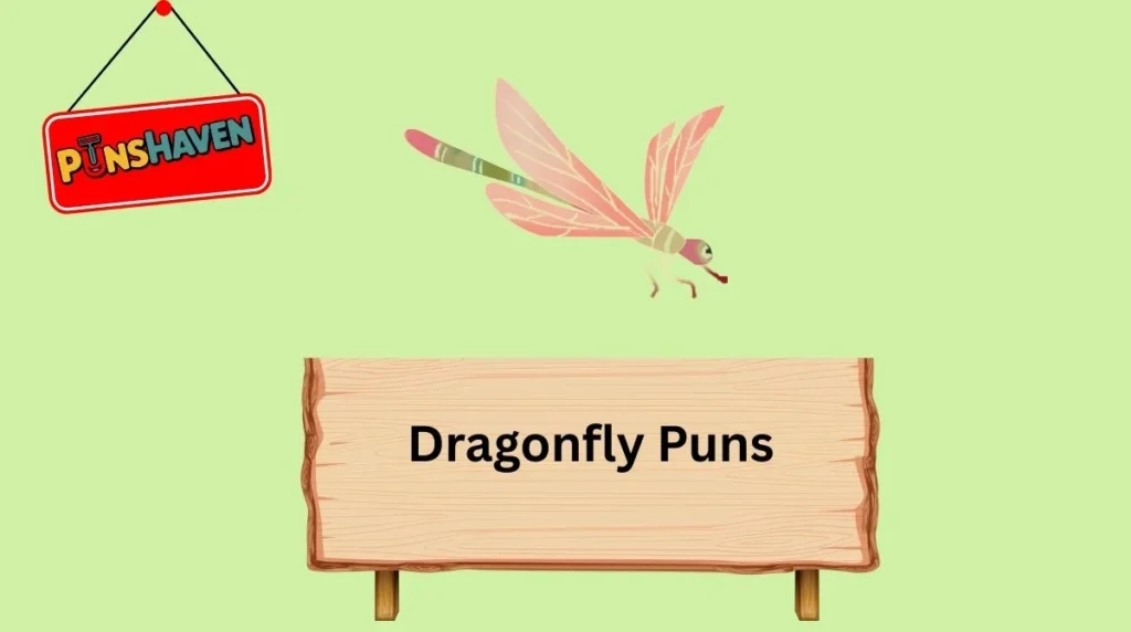 Dragonfly Puns