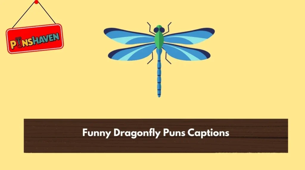 Funny Dragonfly Puns Captions