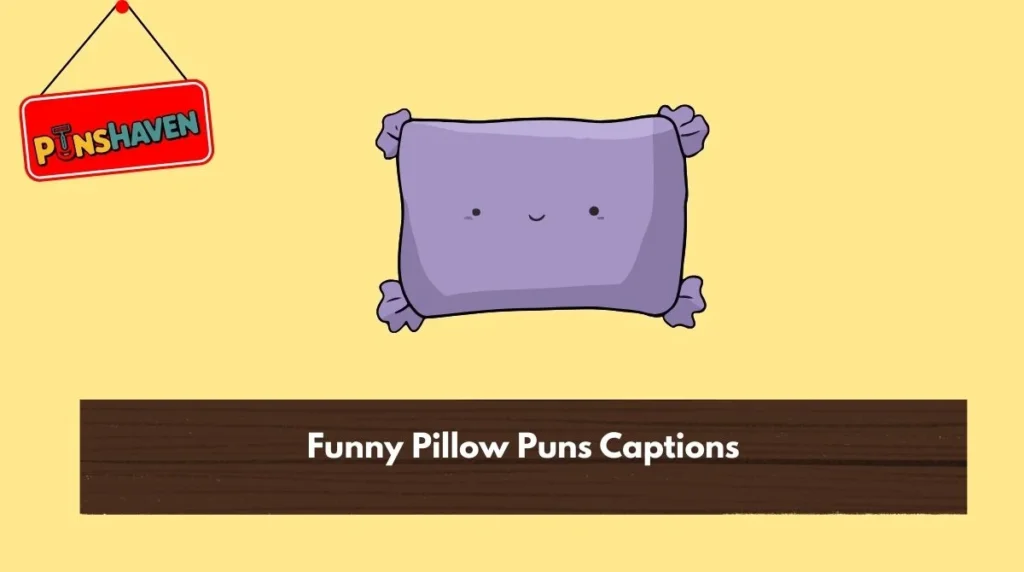 funny-pillow-puns-captions