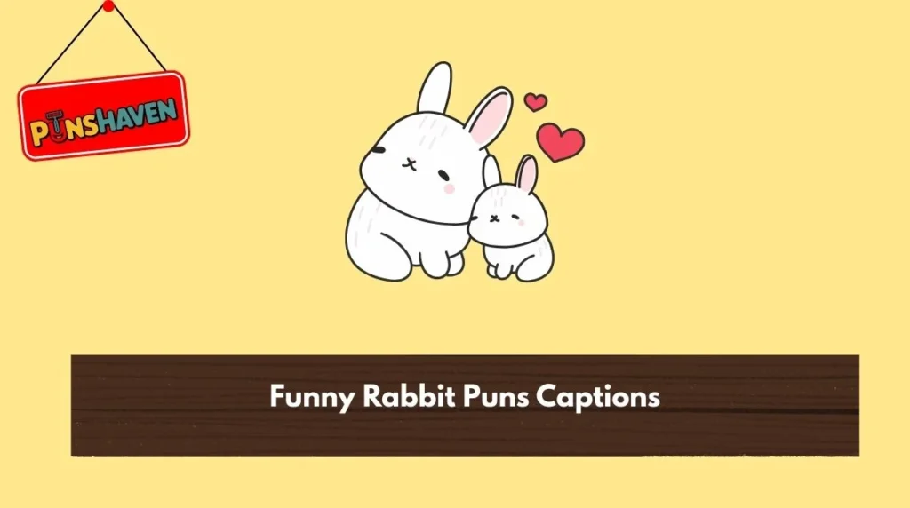 Funny Rabbit Puns Captions