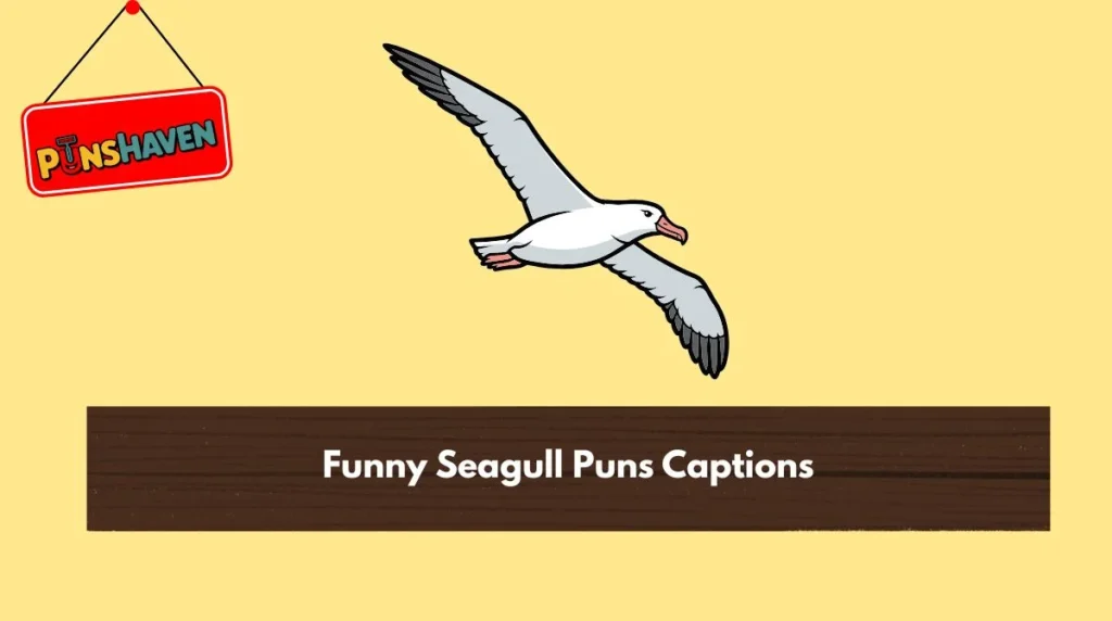 Funny Seagull Puns Captions