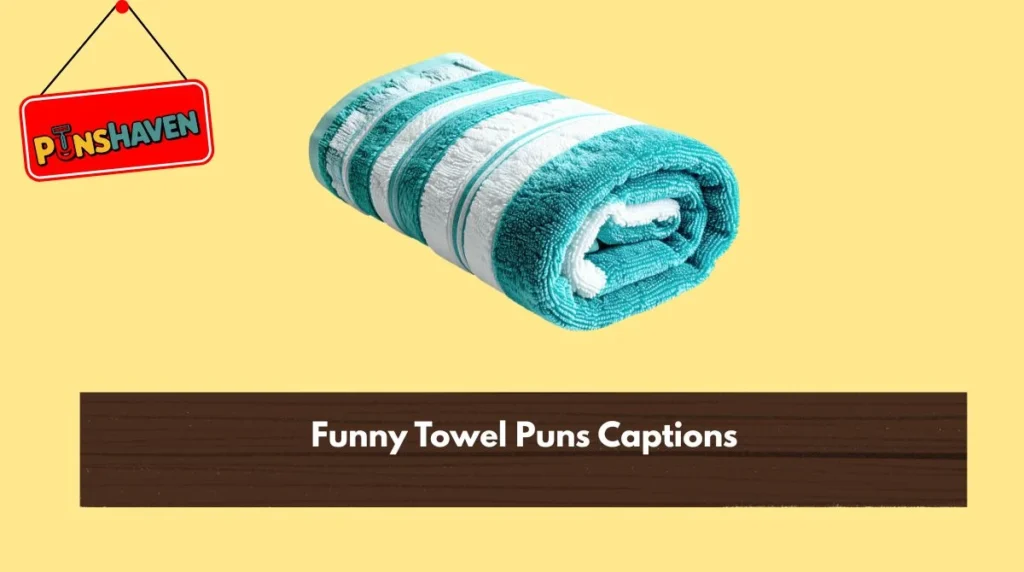 Funny Towel Puns Captions