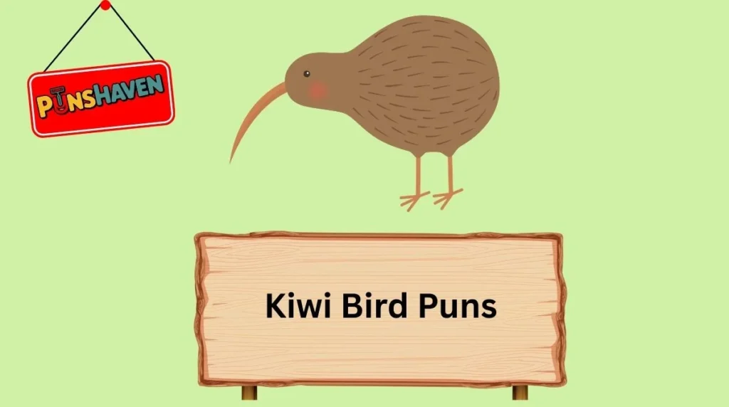 Kiwi Bird Puns