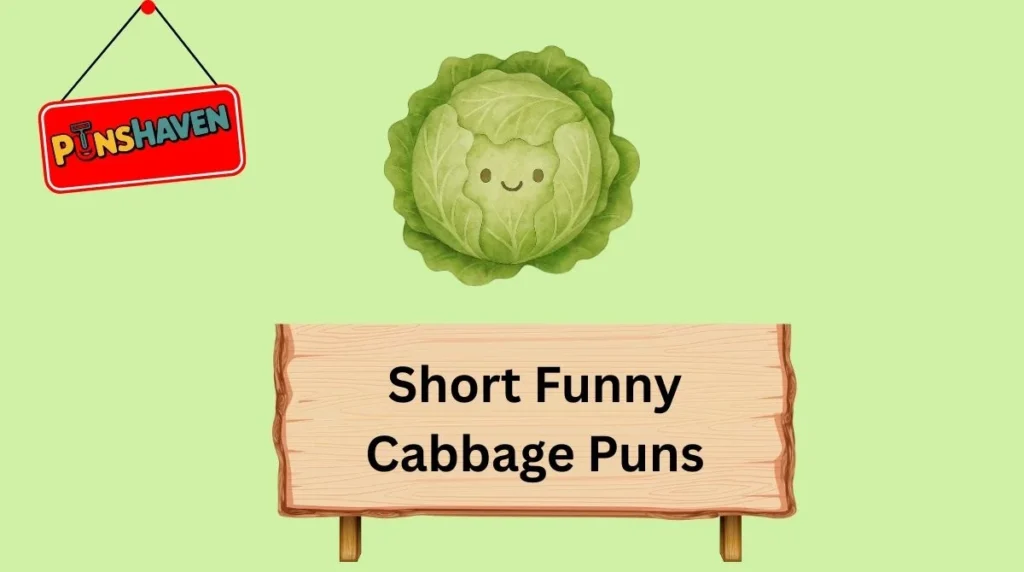 Short Funny Cabbage Puns
