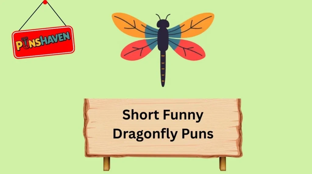 Short Funny Dragonfly Puns