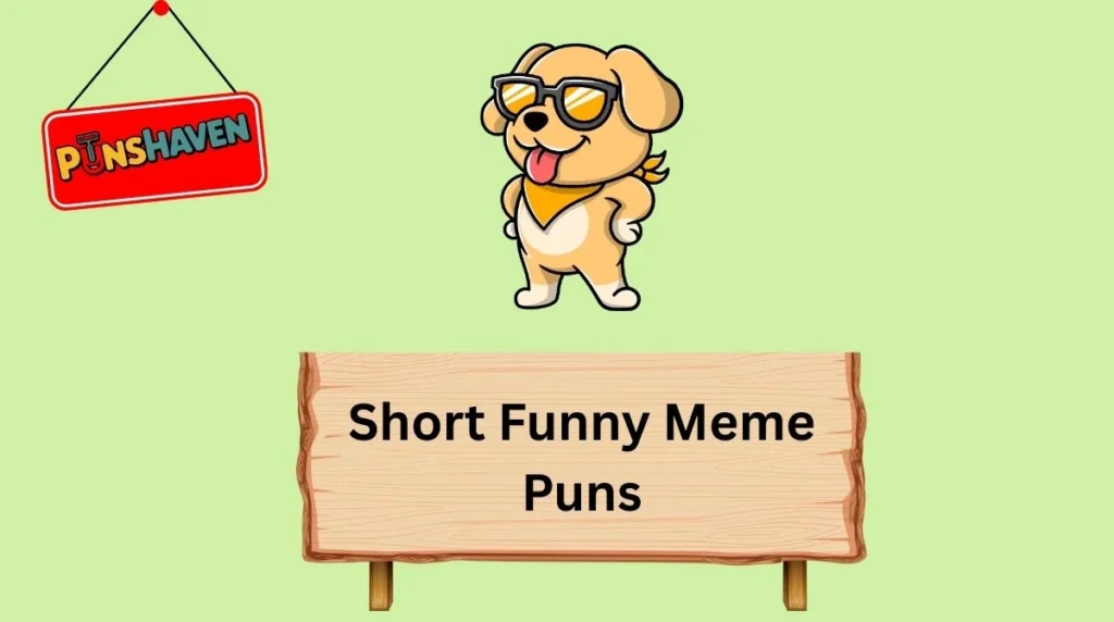 Short Funny Meme Puns