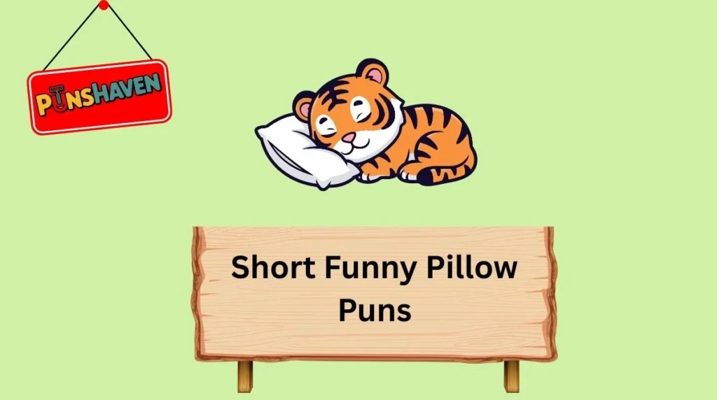 Short Funny Pillow Puns