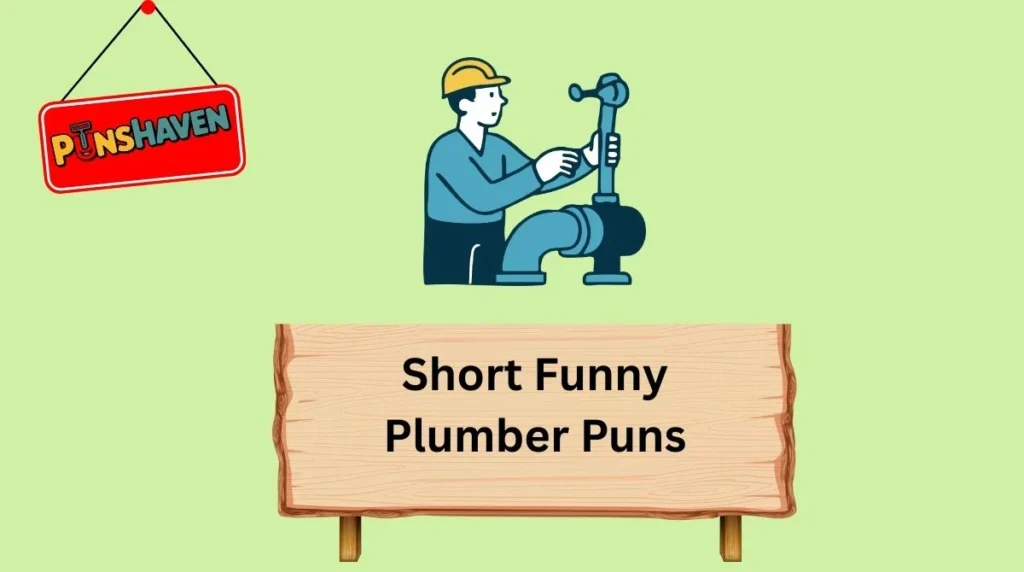 Short Funny Plumber Puns
