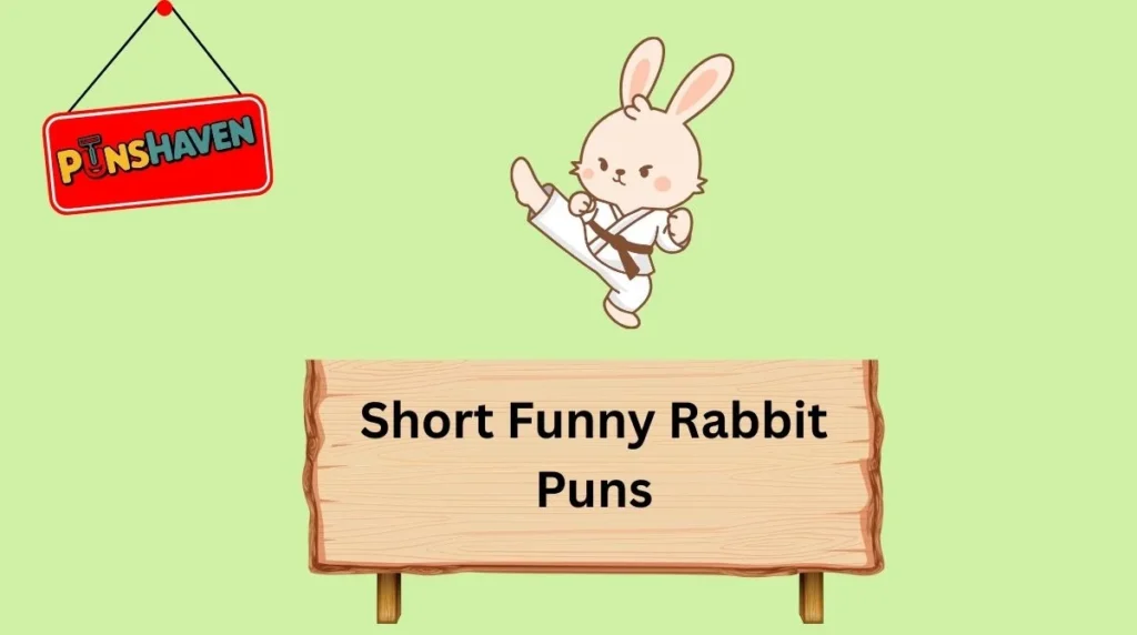Short Funny Rabbit Puns