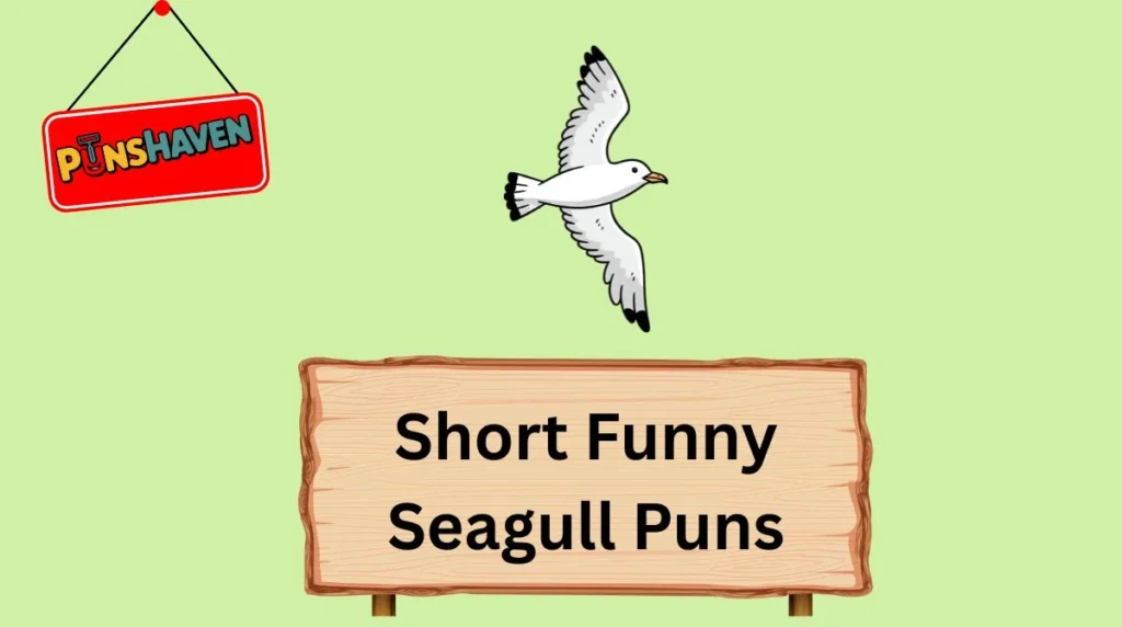 Short Funny Seagull Puns