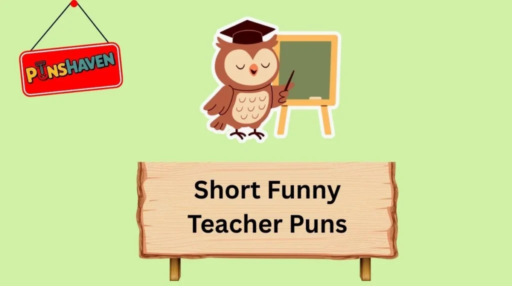 Short Funny Teacher Puns