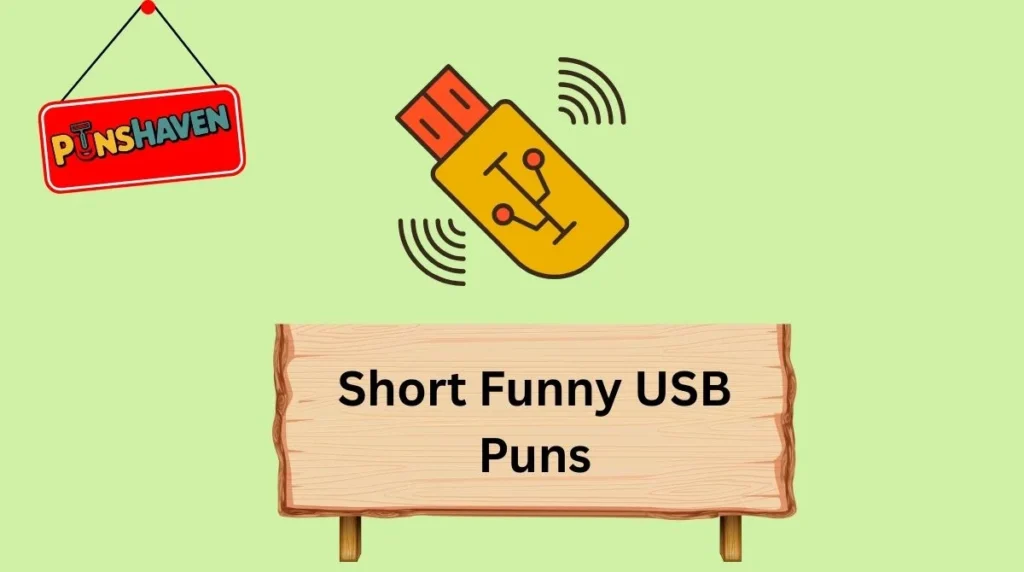 Short Funny USB Puns