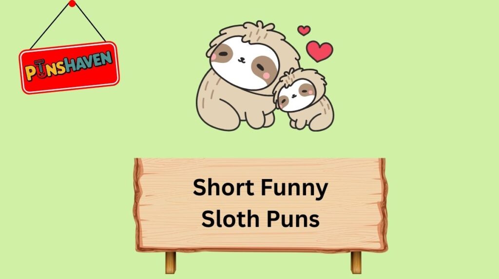 Short Funny Sloth Puns