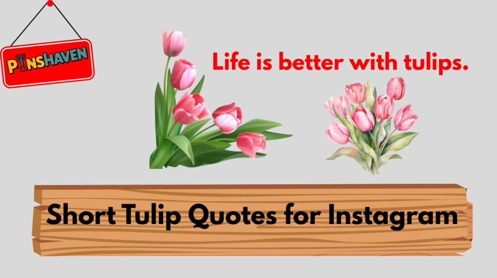 Short Tulip Quotes for Instagram