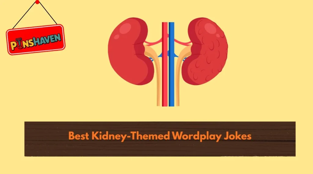 Best Kidney-Themed Wordplay Jokes