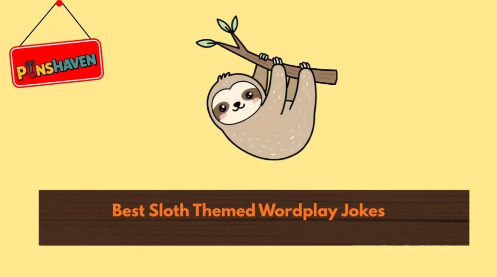 Best Sloth Themed Wordplay Jokes