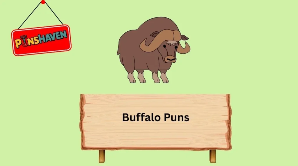Buffalo Puns