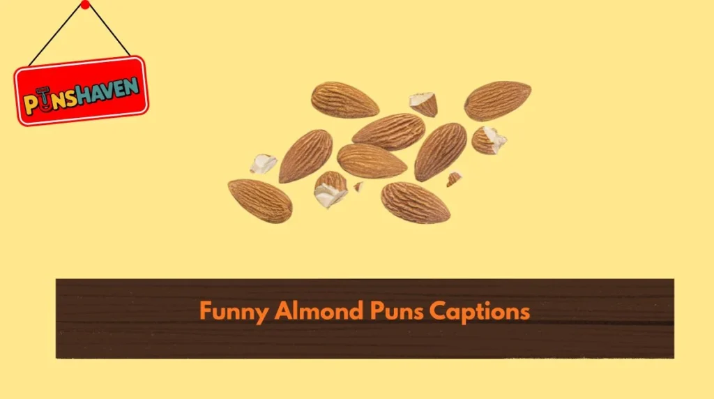 Funny Almond Puns Captions