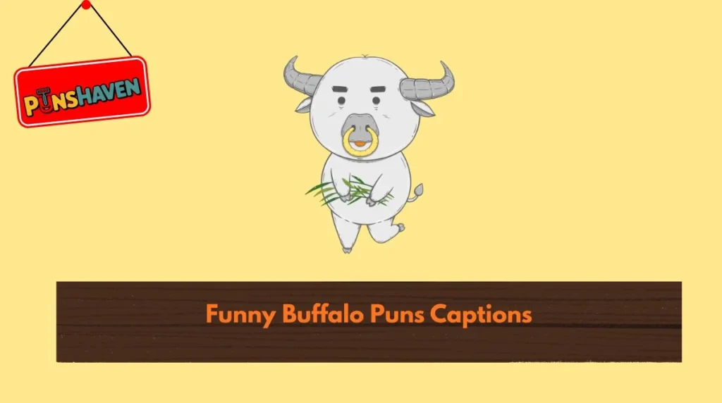 Funny Buffalo Puns Captions