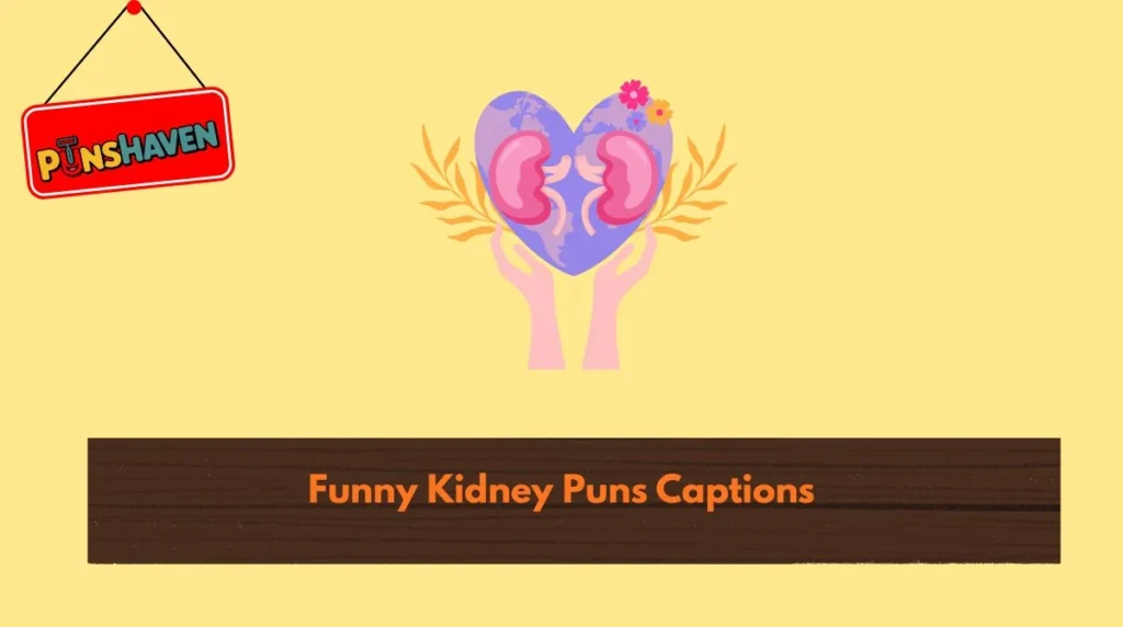 Funny Kidney Puns Captions