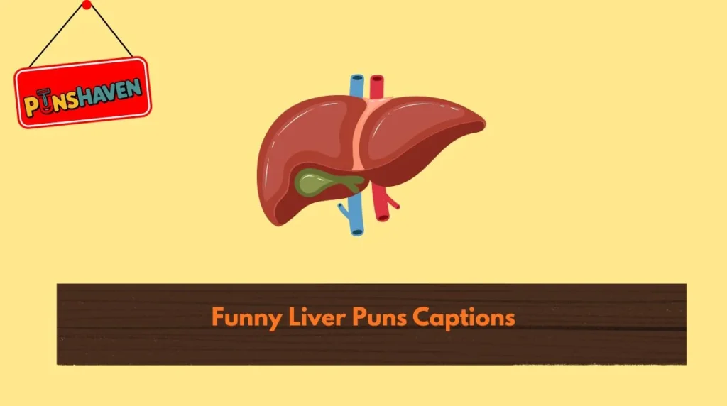 Funny Liver Puns Captions