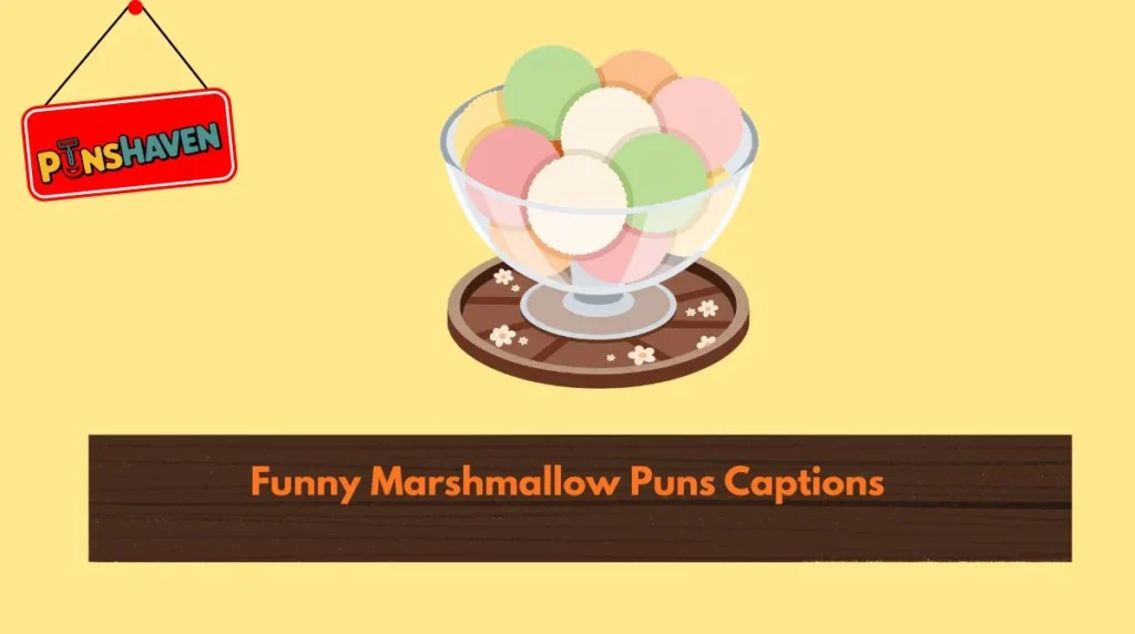Funny Marshmallow Puns Captions