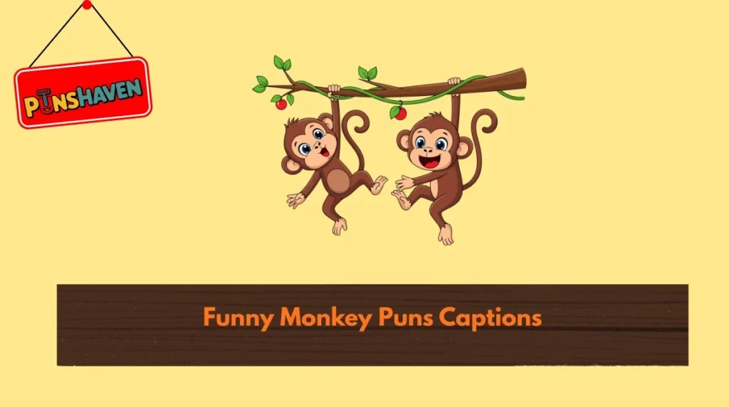 Funny Monkey Puns Captions