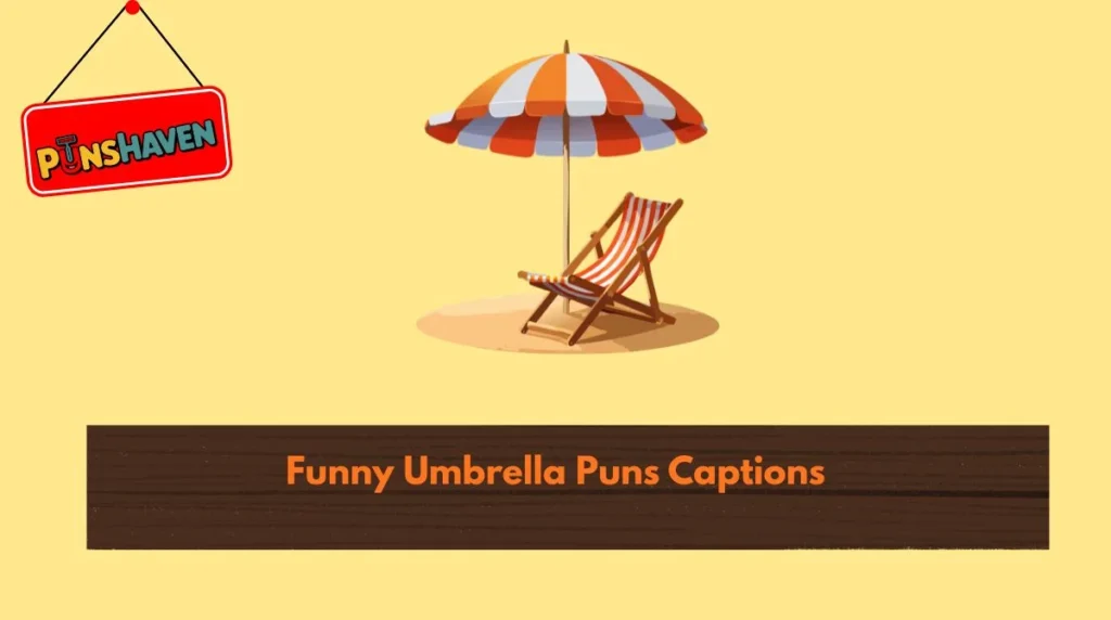 Funny Umbrella Puns Captions
