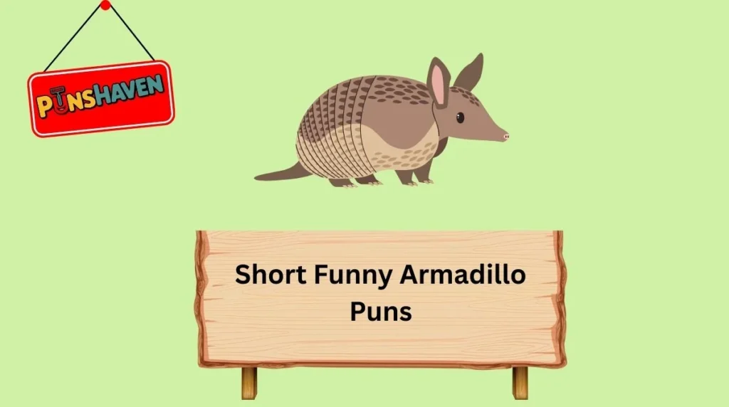Short Funny Armadillo Puns