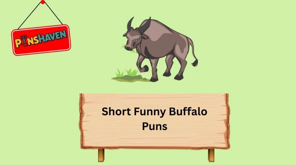 Short Funny Buffalo Puns