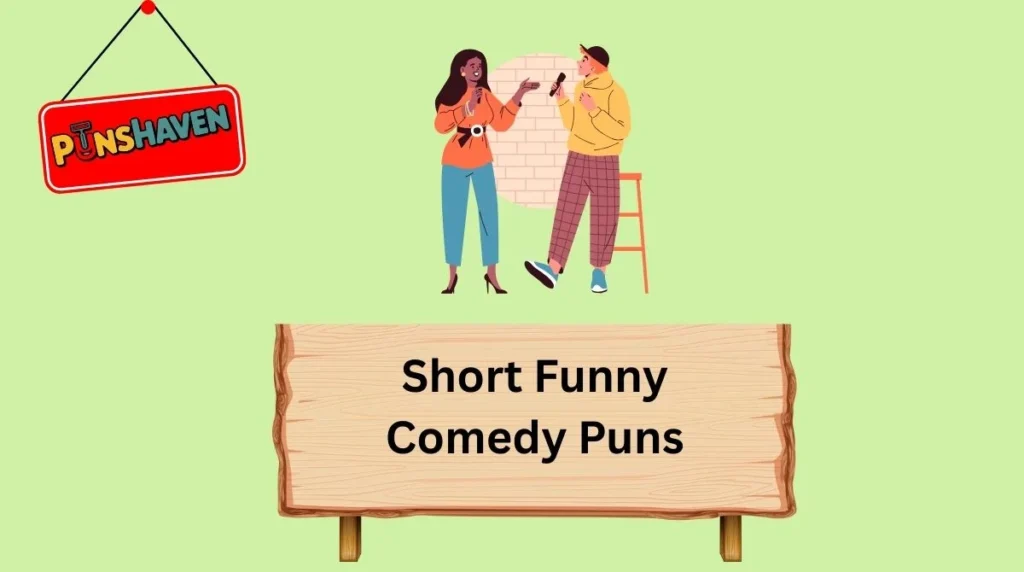 Short Funny Comedy Puns